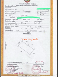 T00323